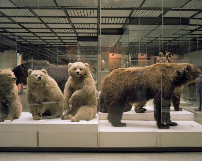 Потерянные во времени - фотографии из московских музеев