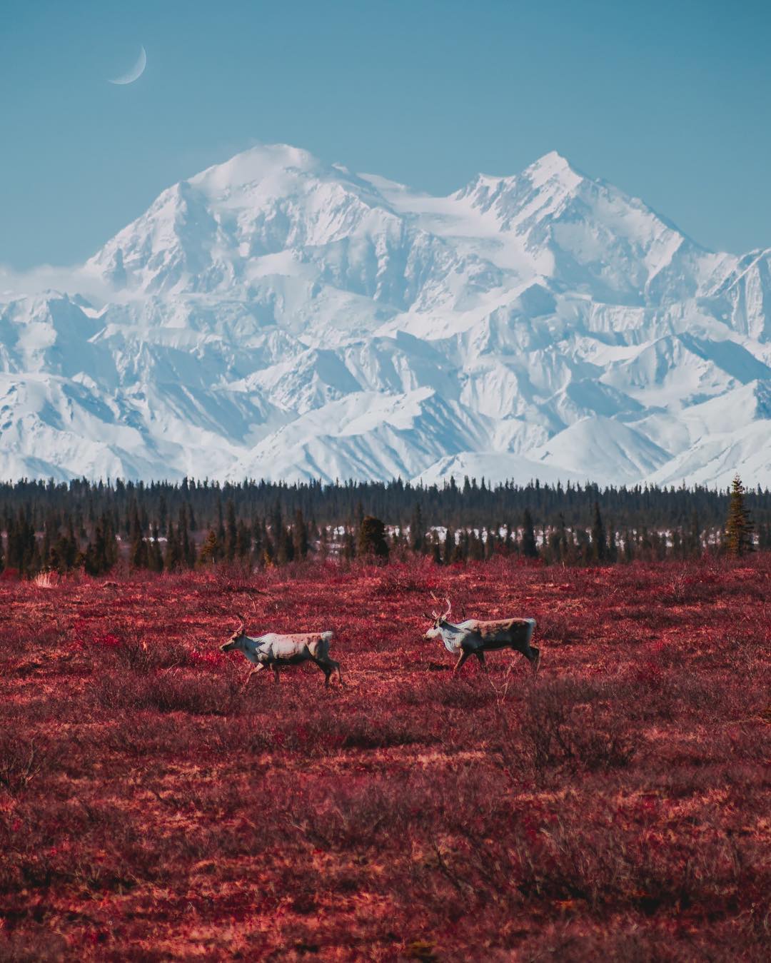 Природные пейзажи Аляски на снимках Патрика Туна