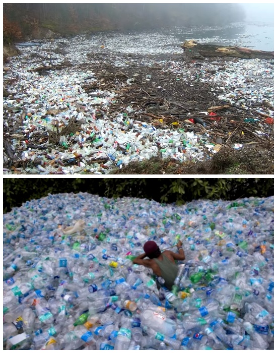 Житель Канады построил деревню из пластиковых бутылок