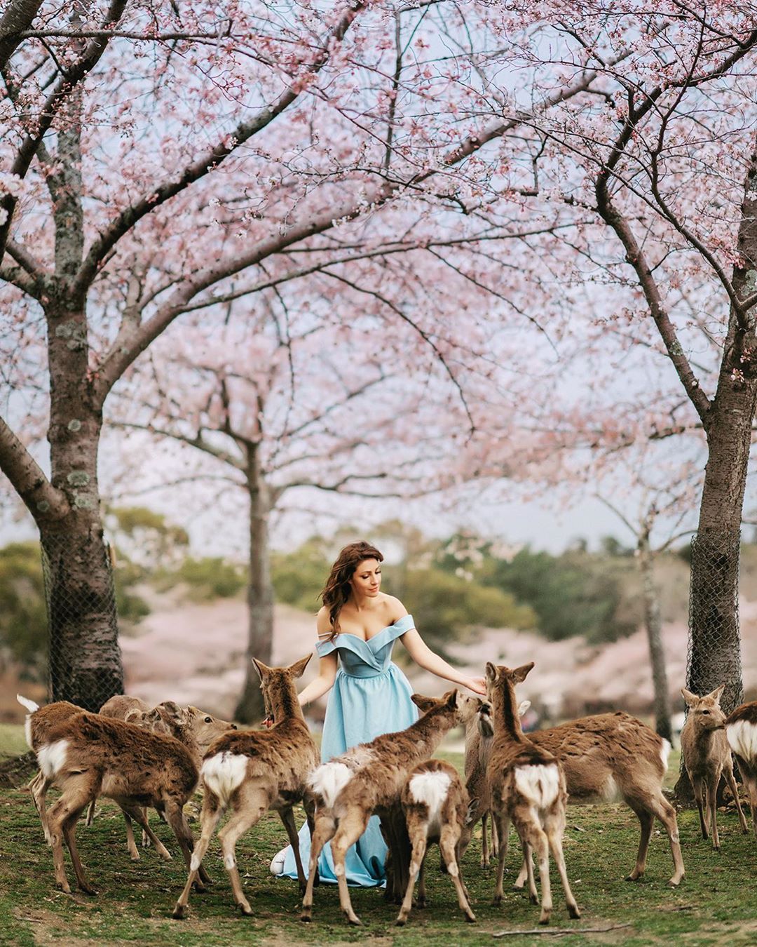Девушки, цветы и животные на снимках Дарьи Булавиной