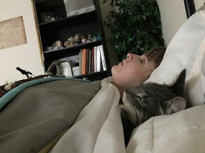 Котики, которые заснули в самых странных позах