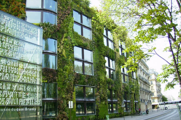Польза вертикальных садов на фасадах домов
