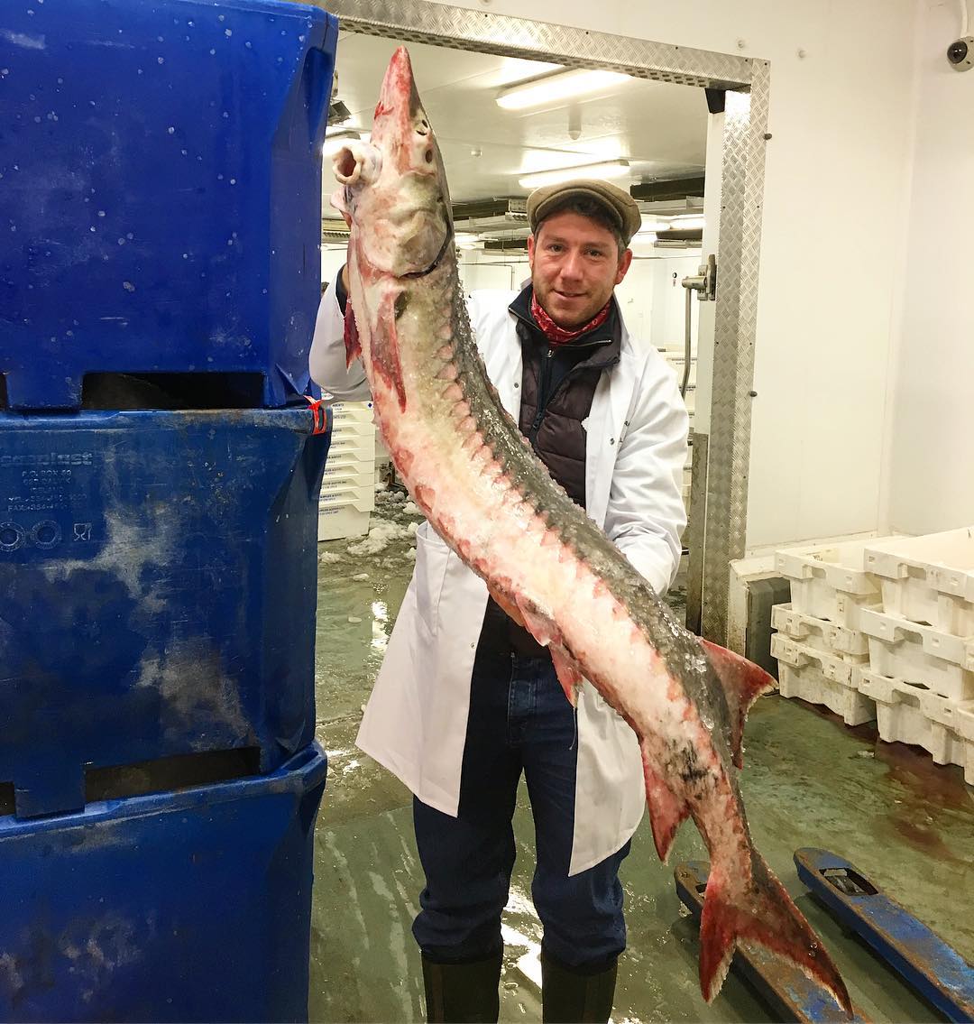 Британский рыбак и его необычные уловы