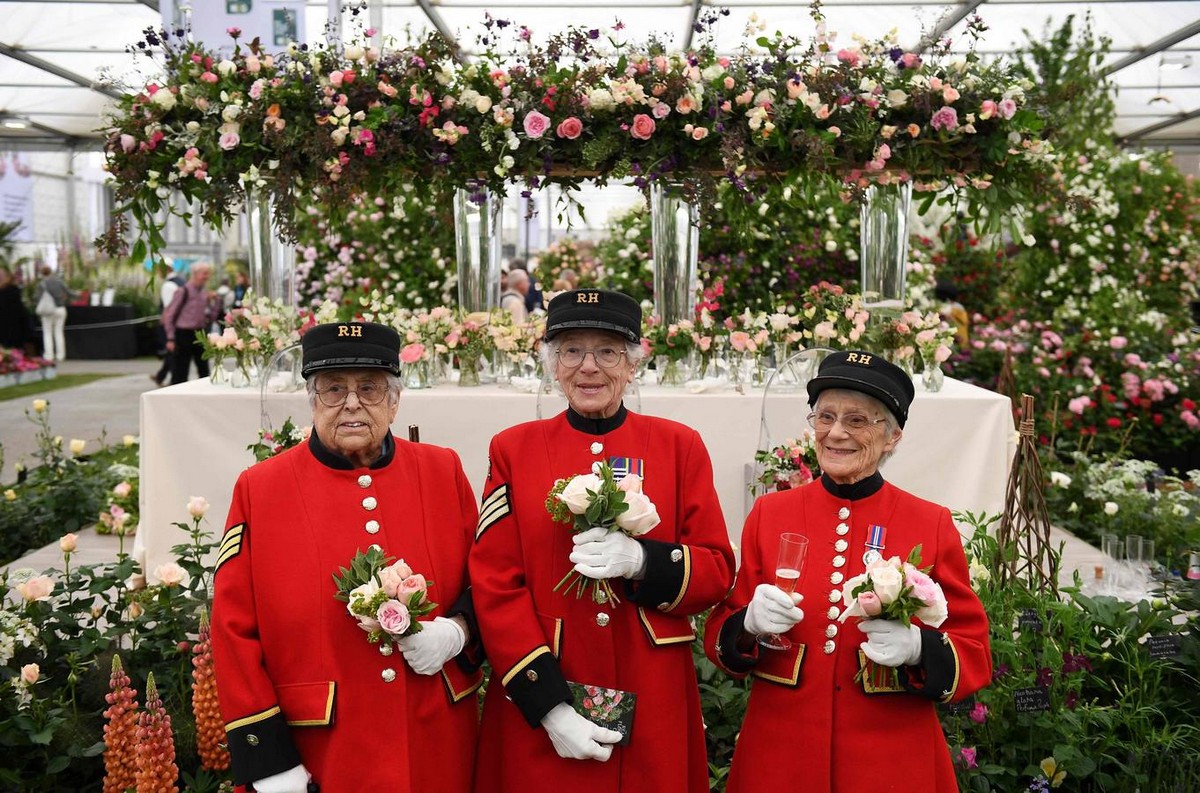 Ежегодная выставка цветов в Лондоне