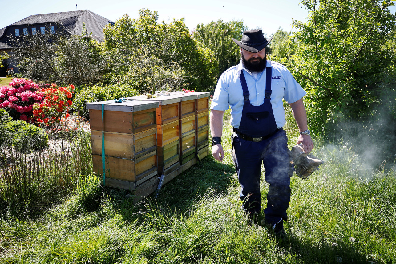Заключенные помогают спасать пчел в Германии