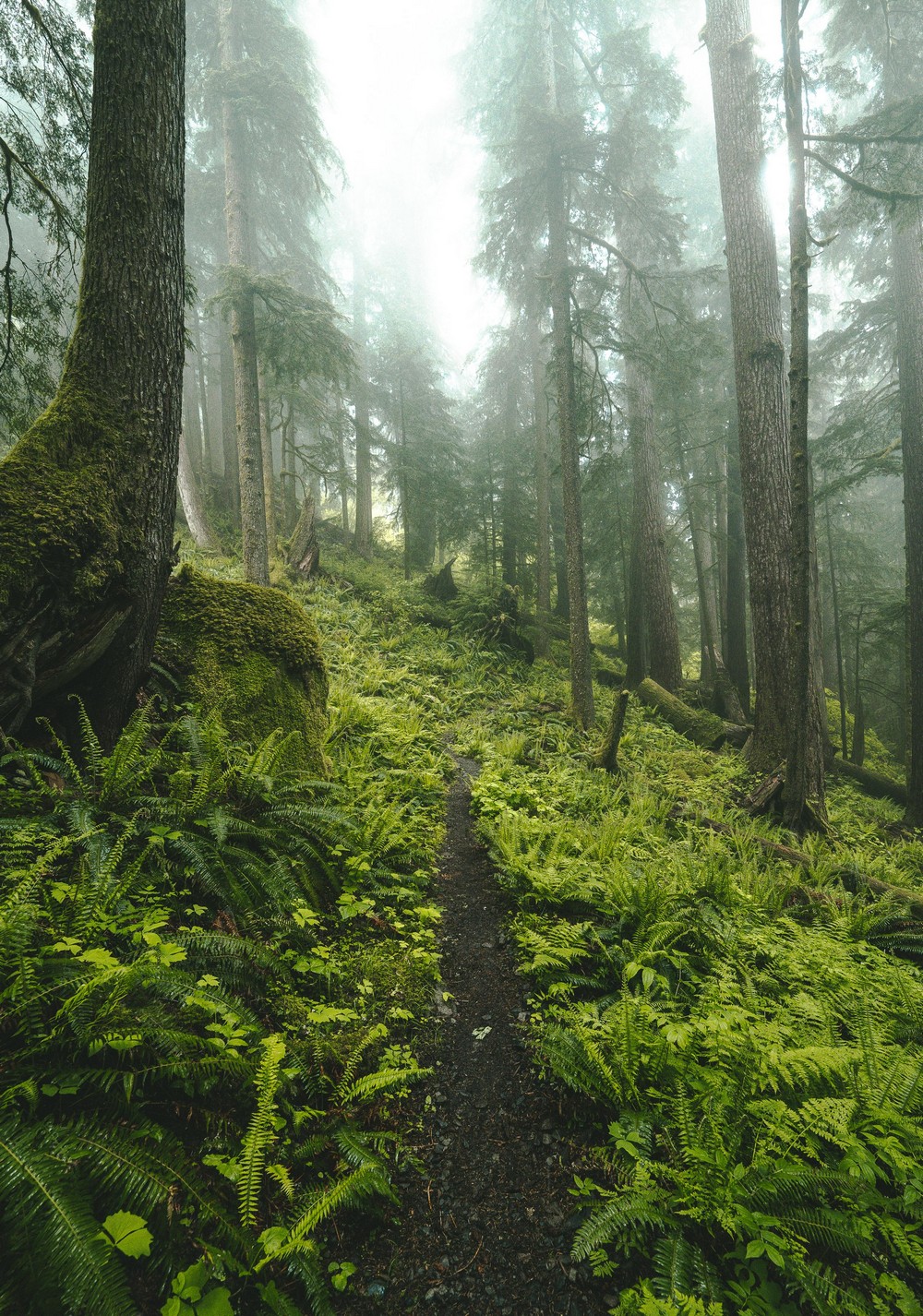 Красота природы на фотографиях