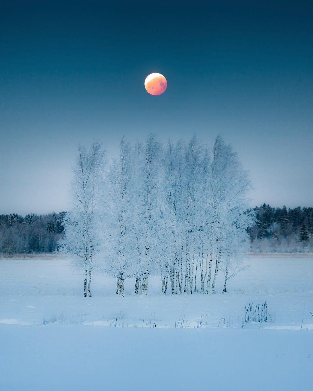 Природные пейзажи Лапландии на снимках Сами Такараутиё
