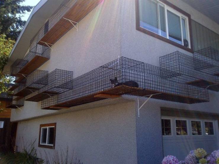 Владельцы кошек строят для них крутые уличные площадки