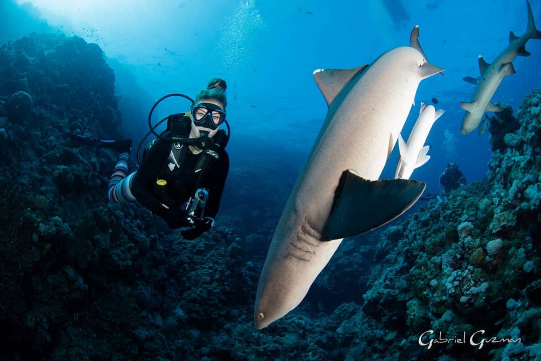 Потрясающие подводные снимки с морскими обитателями от Шеннон Лии Майерс