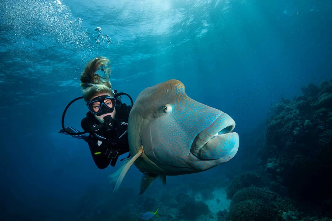 Потрясающие подводные снимки с морскими обитателями от Шеннон Лии Майерс