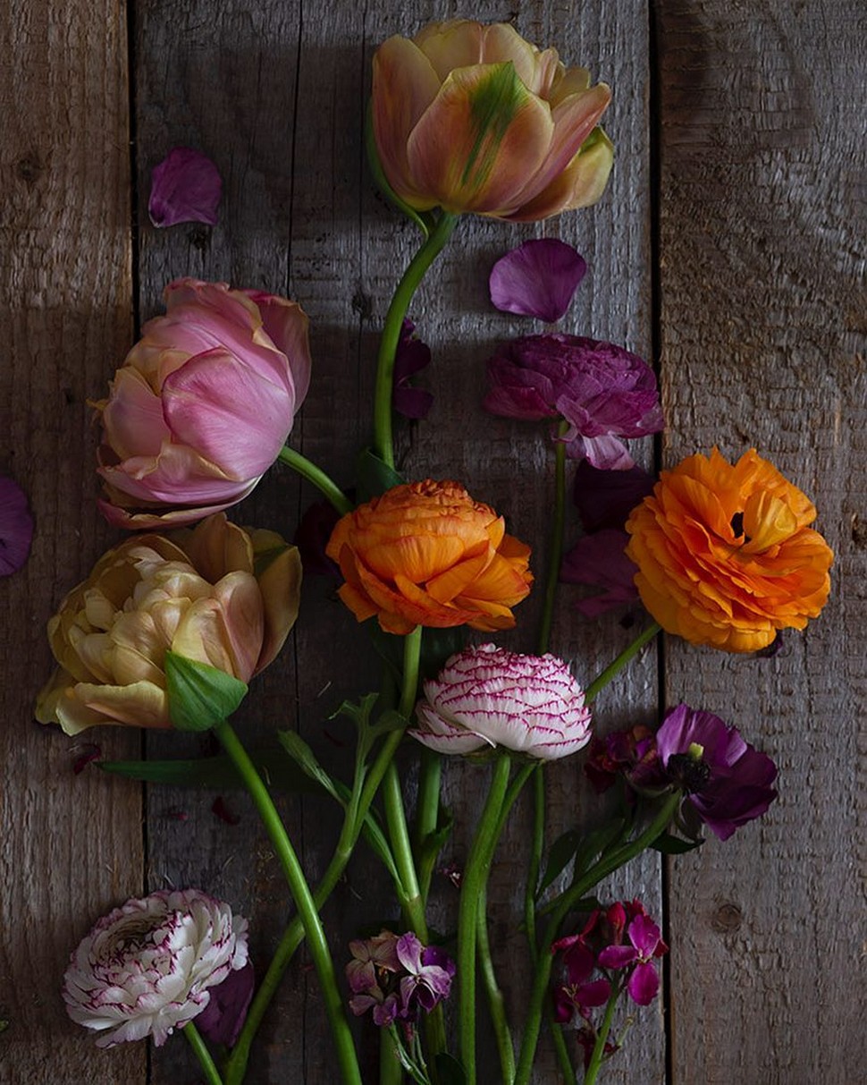 Красивые цветы на снимках от Дианны Язвински