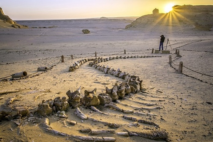 Тайны пустыни Сахара, которые раскрыли современные ученые