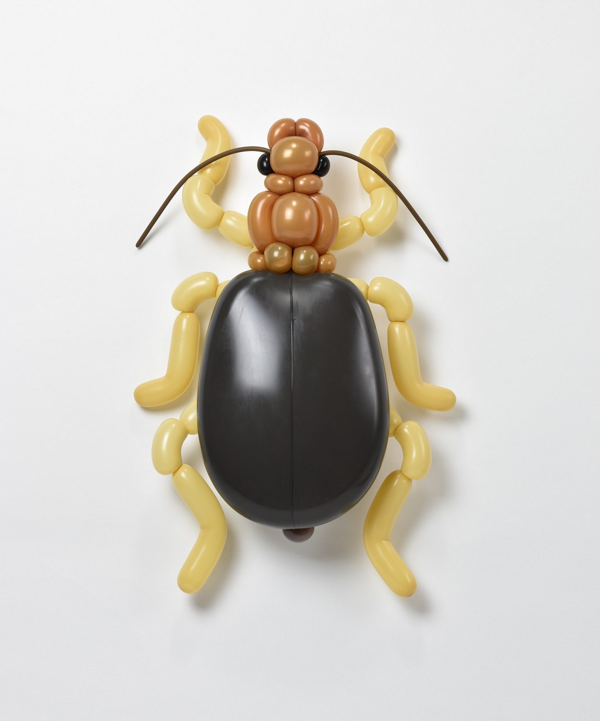Потрясающие скульптуры животных и насекомых из воздушных шаров