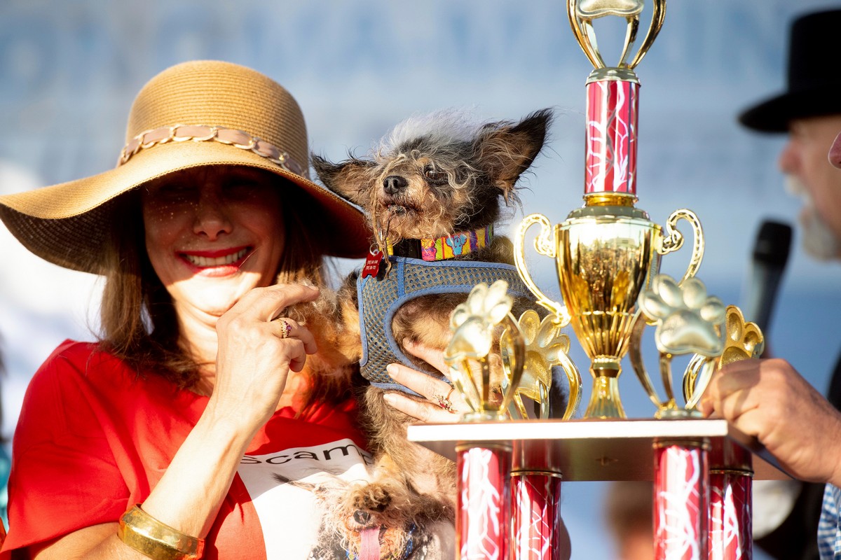Конкурс за звание самой уродливой собаки в мире