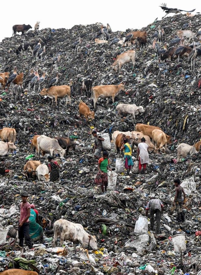 Индийская мусорная свалка настолько высока, что уже угрожает самолетам