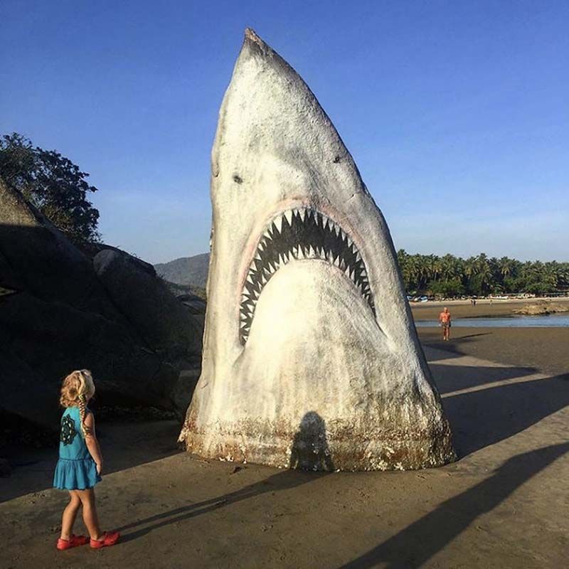 Акула-скала на пляже Гоа популярна у туристов
