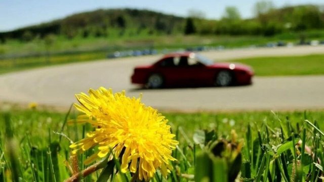 Забавные глупости вторых половинок