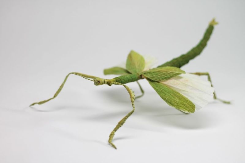 Невероятно реалистичные насекомые и растения из бумаги