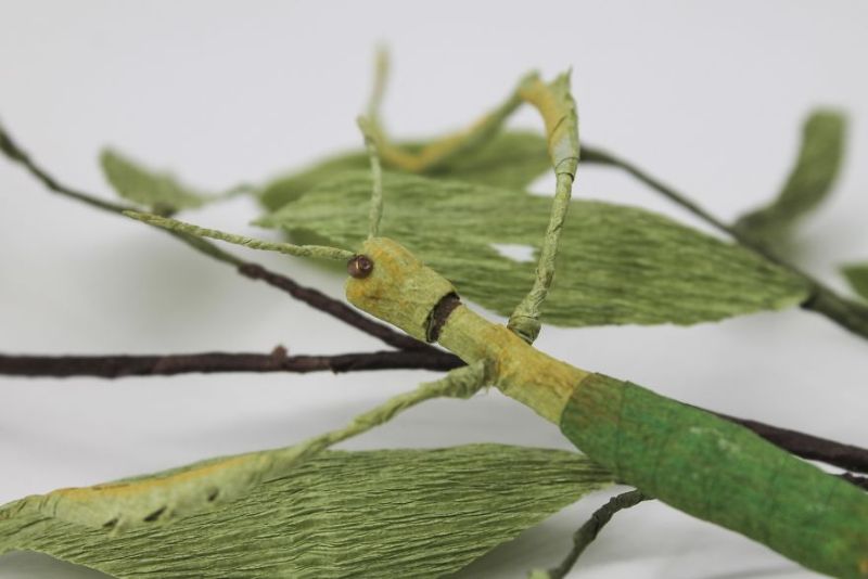 Невероятно реалистичные насекомые и растения из бумаги