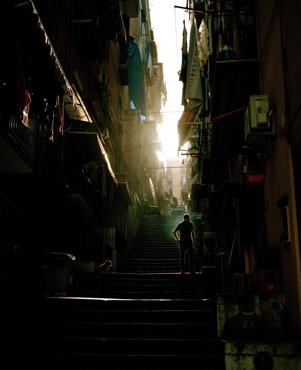 Жизнь в мафиозном городе Неаполе на снимках Сэма Грегга