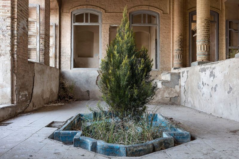 В заброшенных особняках Тегерана обосновалась природа