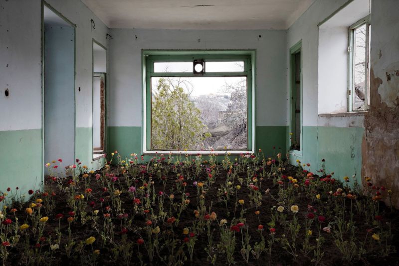 В заброшенных особняках Тегерана обосновалась природа