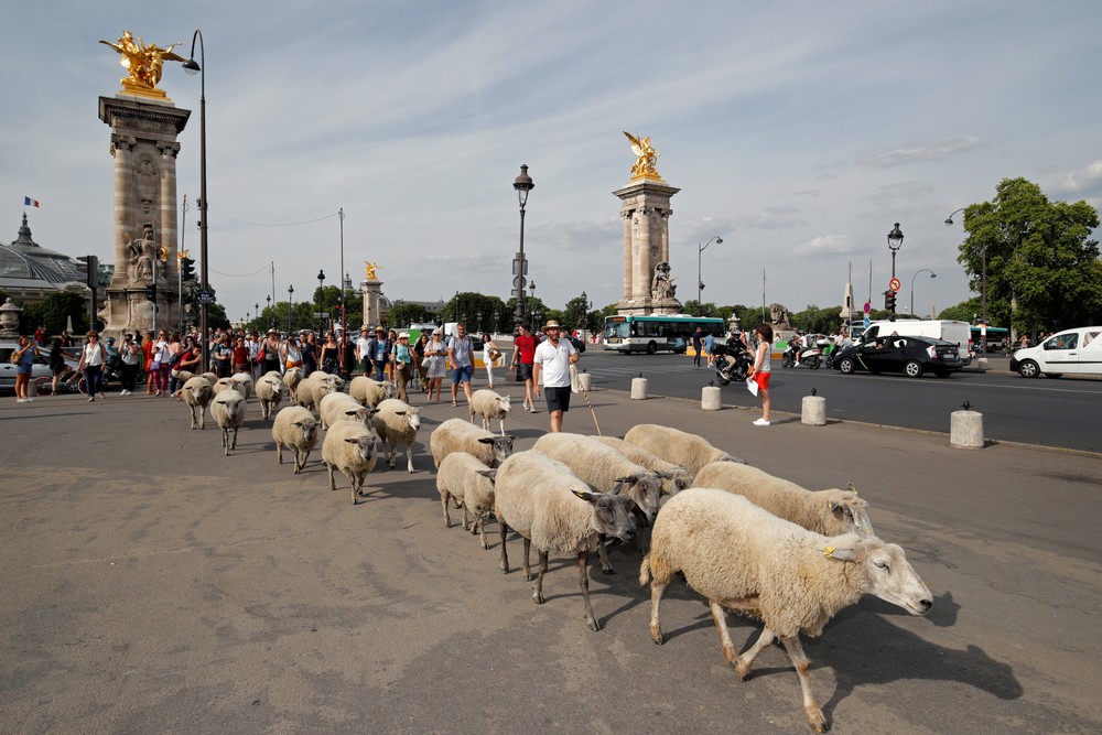 Подборка прикольных картинок