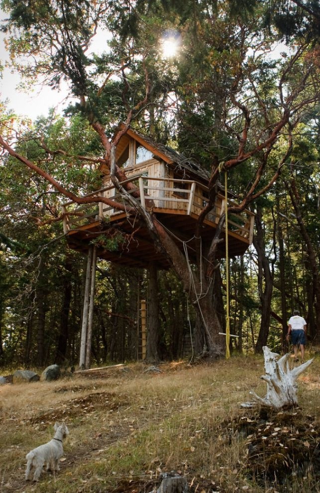 Подборка идеальных домов на деревьях