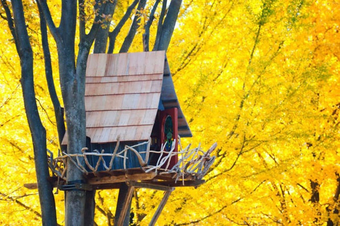 Подборка идеальных домов на деревьях