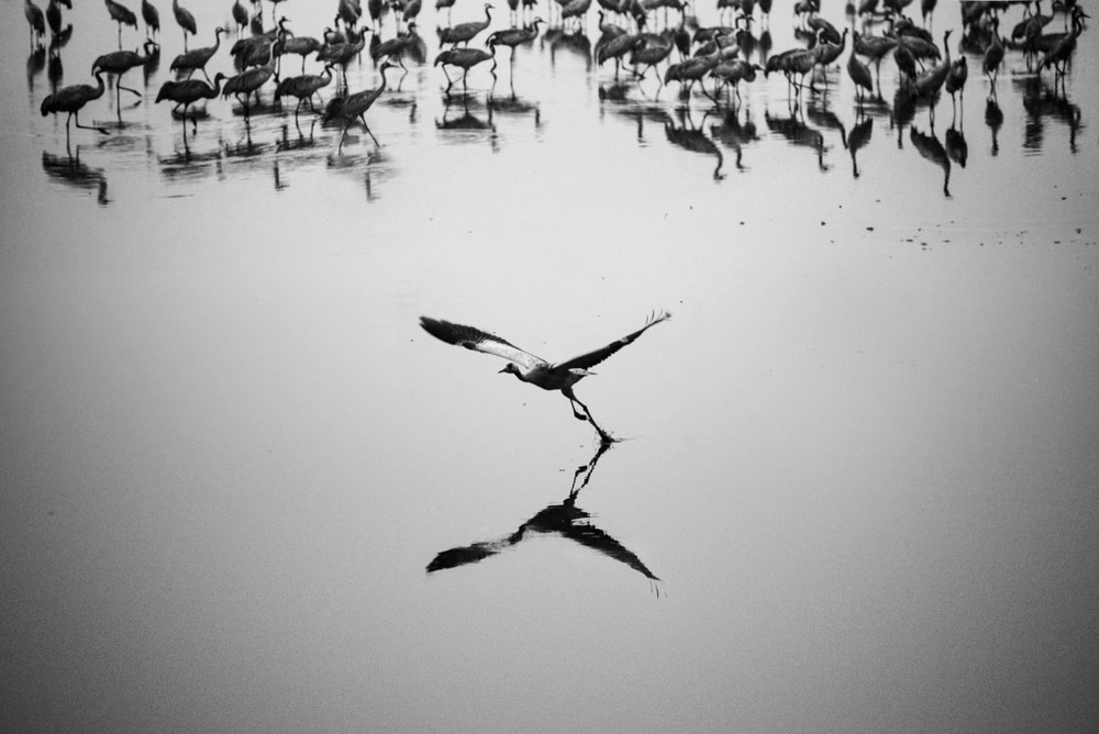 Магические чёрно-белые уличные фотографии от Гая Коэна