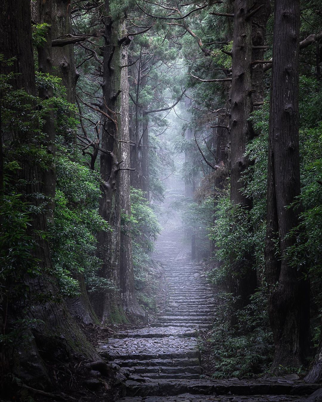 Городские и природные пейзажи Японии от Мицуки Кояма