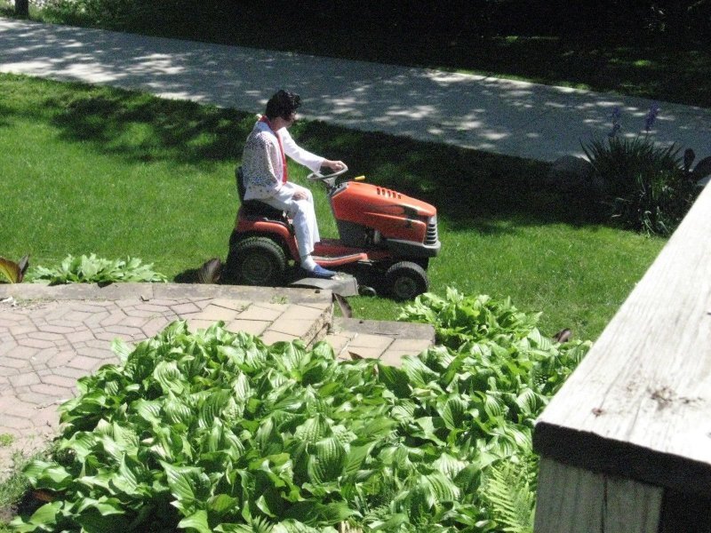 Когда для соседа подстричь газон не просто рутина
