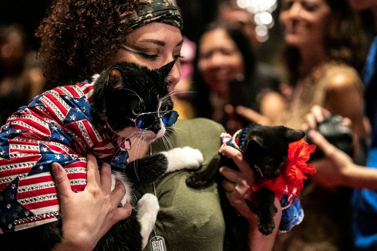 A New York Cat éves divatbemutatója