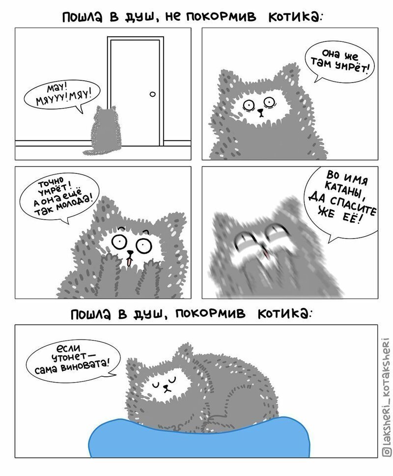 Художница рисует забавные комиксы о жизни с котом