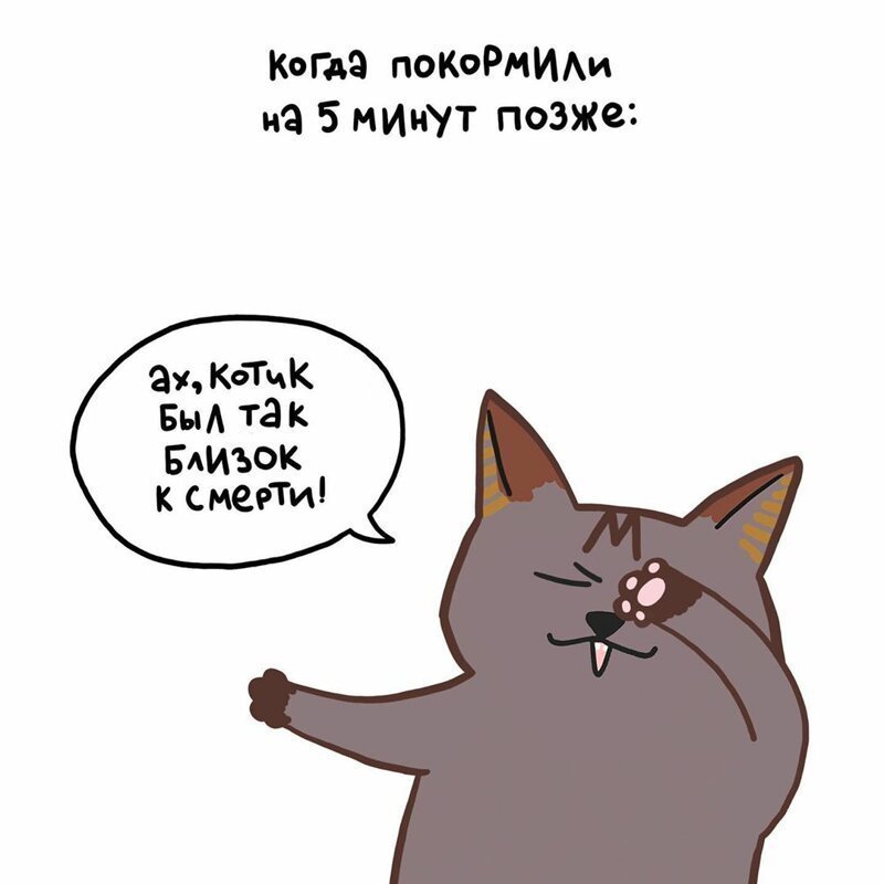 Художница рисует забавные комиксы о жизни с котом