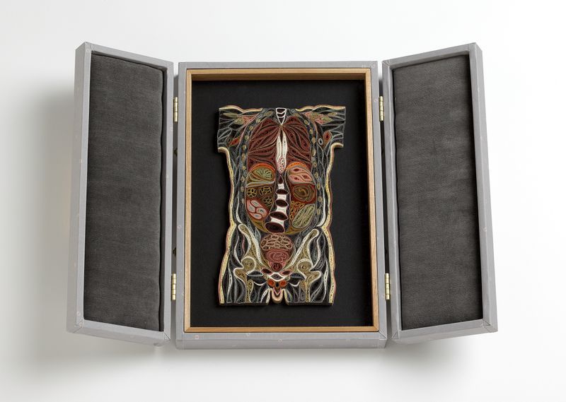 Красочные анатомические разрезы человека и животных из бумаги