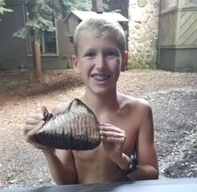 12-летний пацан нашел возле ручья зуб мамонта