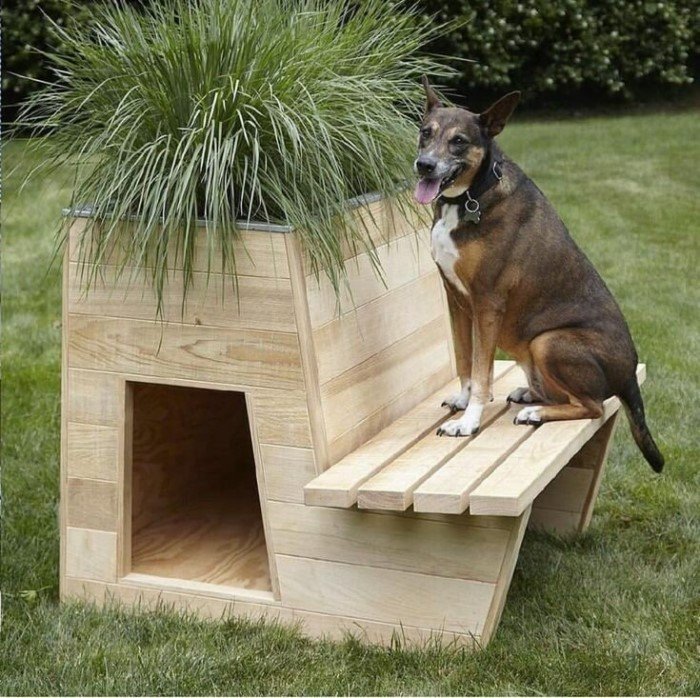 Классные будки для собак