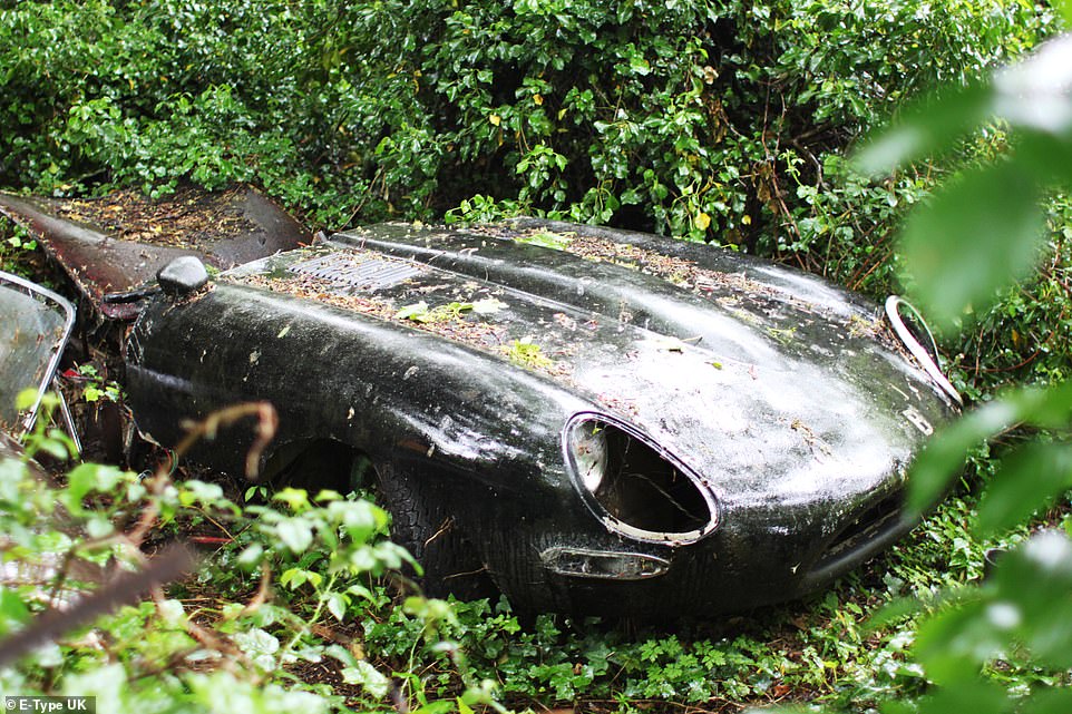 Восстановление винтажного Jaguar, который гнил в зарослях почти 30 лет