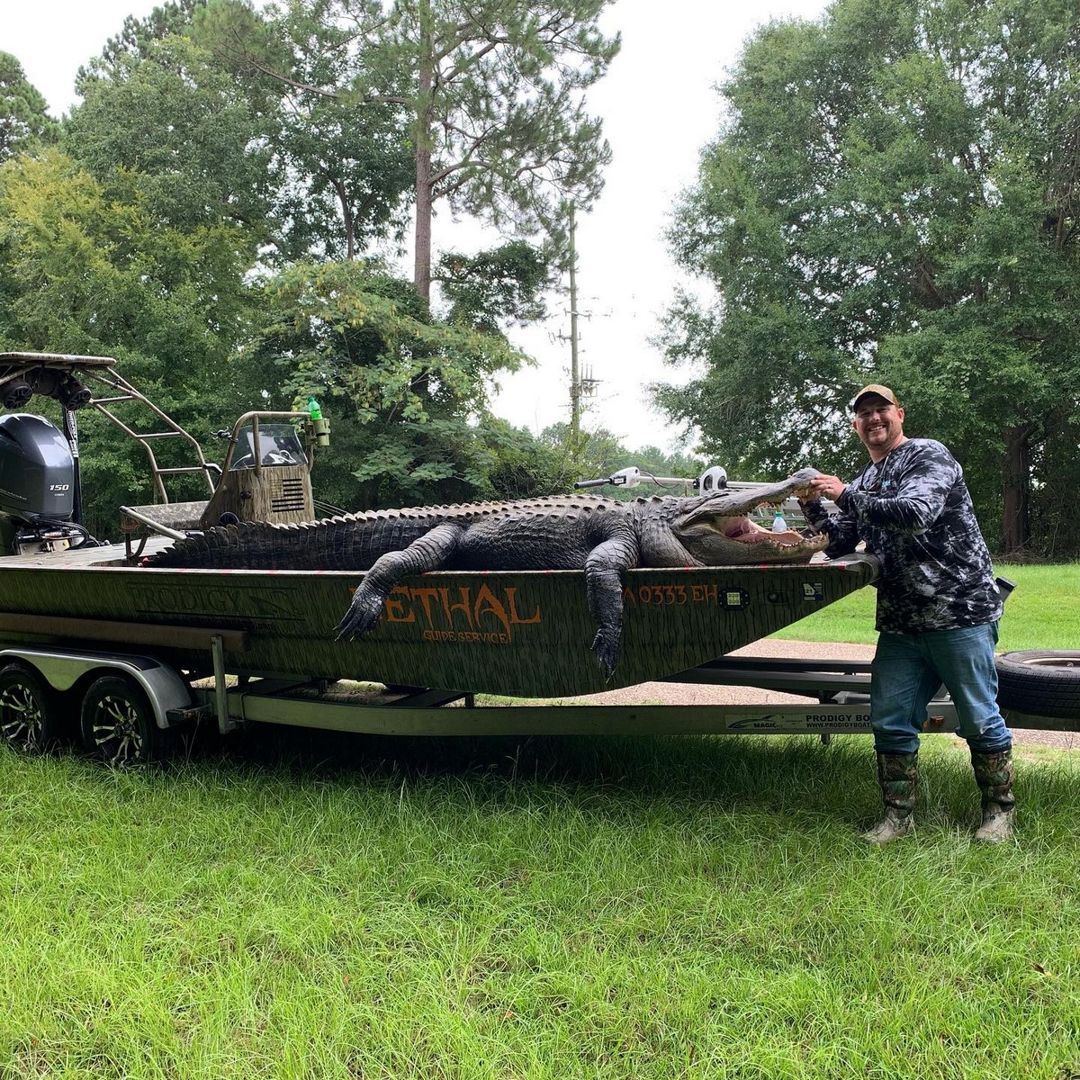 Охотники убили огромного аллигатора в штате Джорджия
