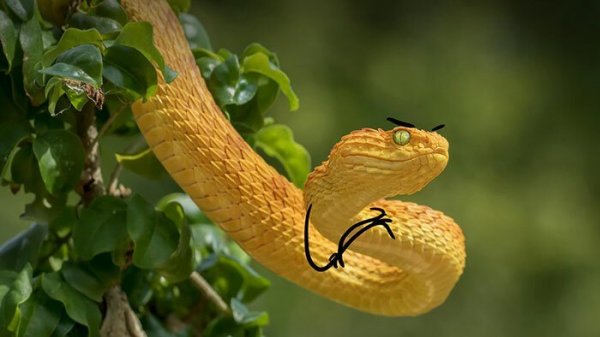 А что, если пририсовать змеям руки?