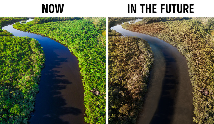 Что может произойти с нашей планетой, после исчезновения тропических лесов Амазонки