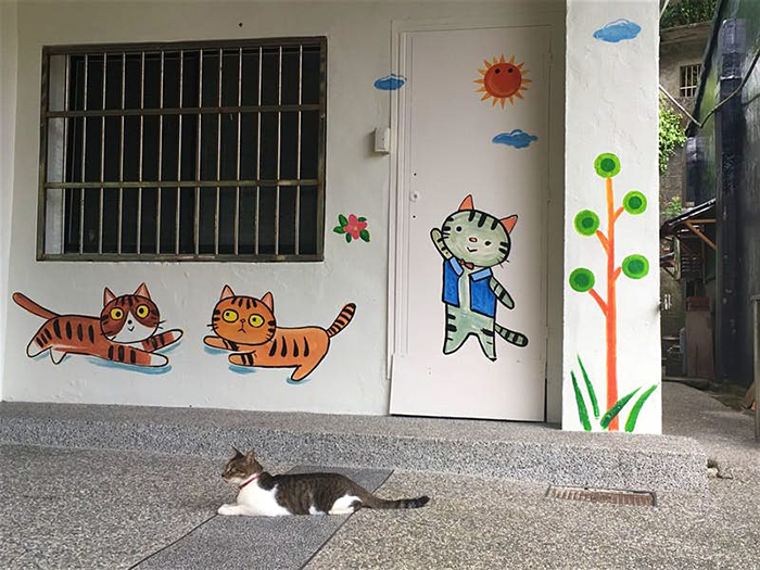 Кошки спасли деревню в Тайване от запустения