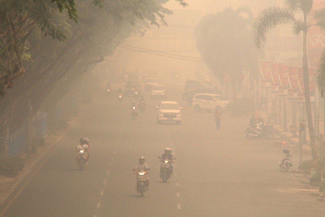Катастрофические лесные пожары в Индонезии