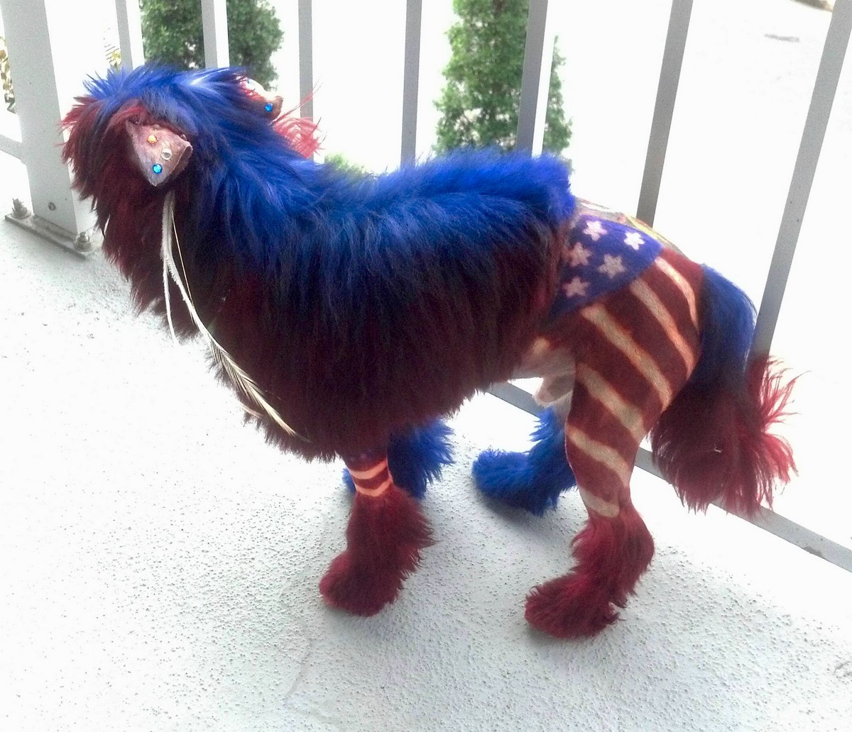 Американка разрисовывает собак, превращая их в яркие арт-объекты