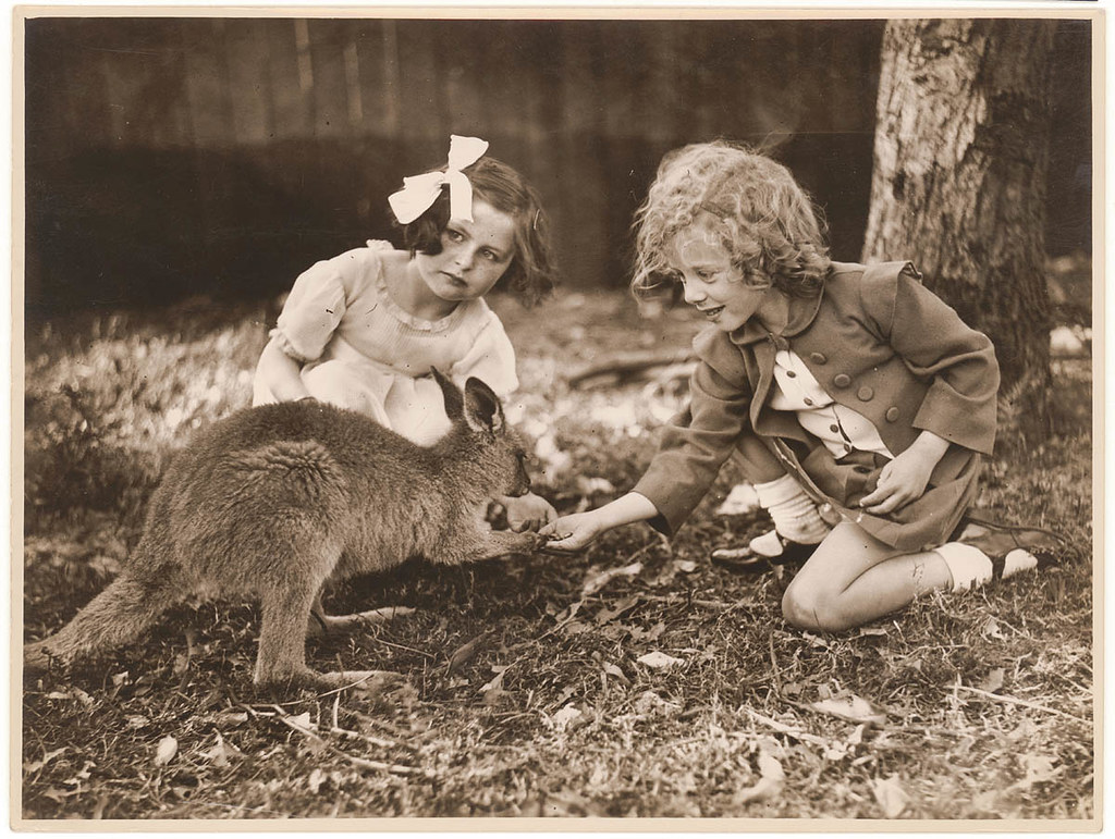 Моменты жизни австралийских детей летом в 1910-1930 годы