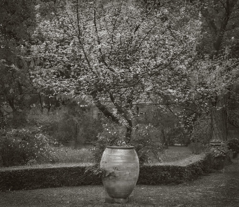 Фотопроект В саду от Бет Доу