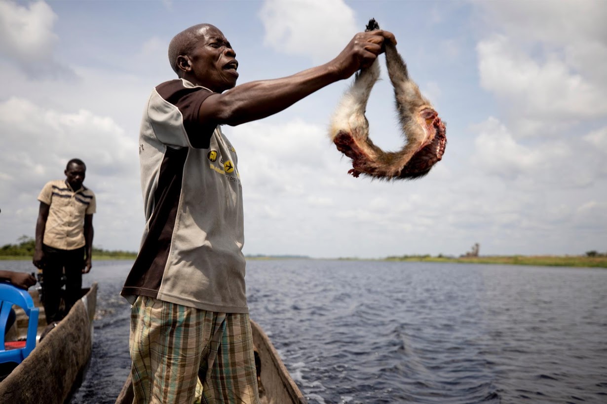 Охота за дикими животными в Конго