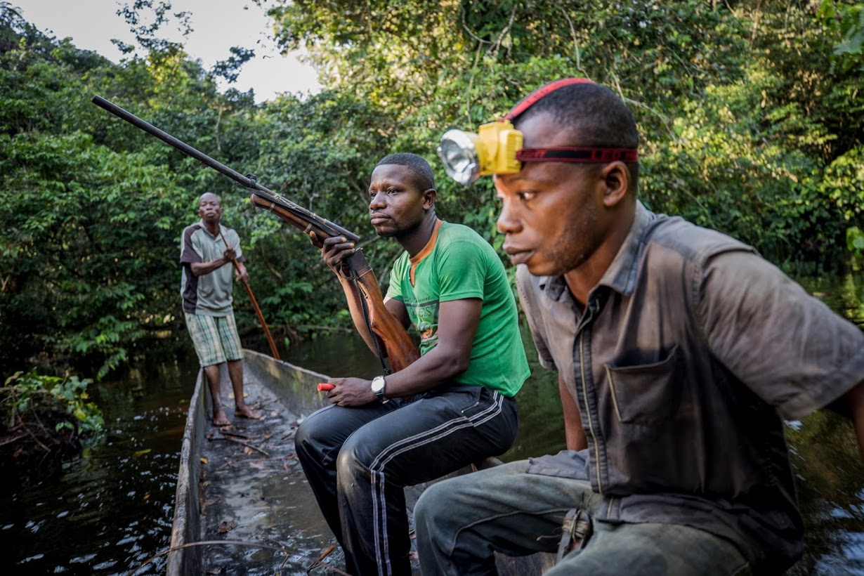Охота за дикими животными в Конго