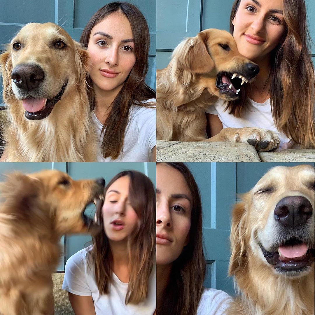 Девушка делает веселые снимки со своими собаками
